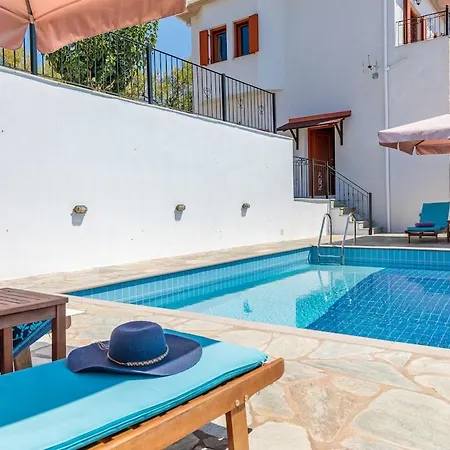 Disi With Private Pool At The Price ヴィラ